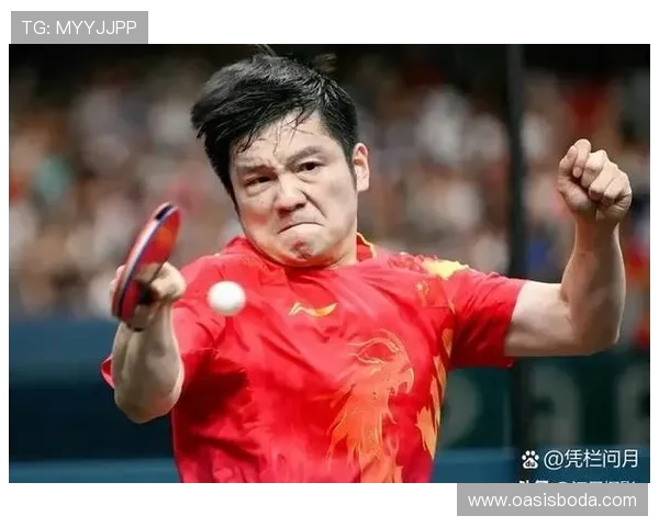 乒乓球盛宴：深入解析北京乒乓球队员的个人技术与实力之旅